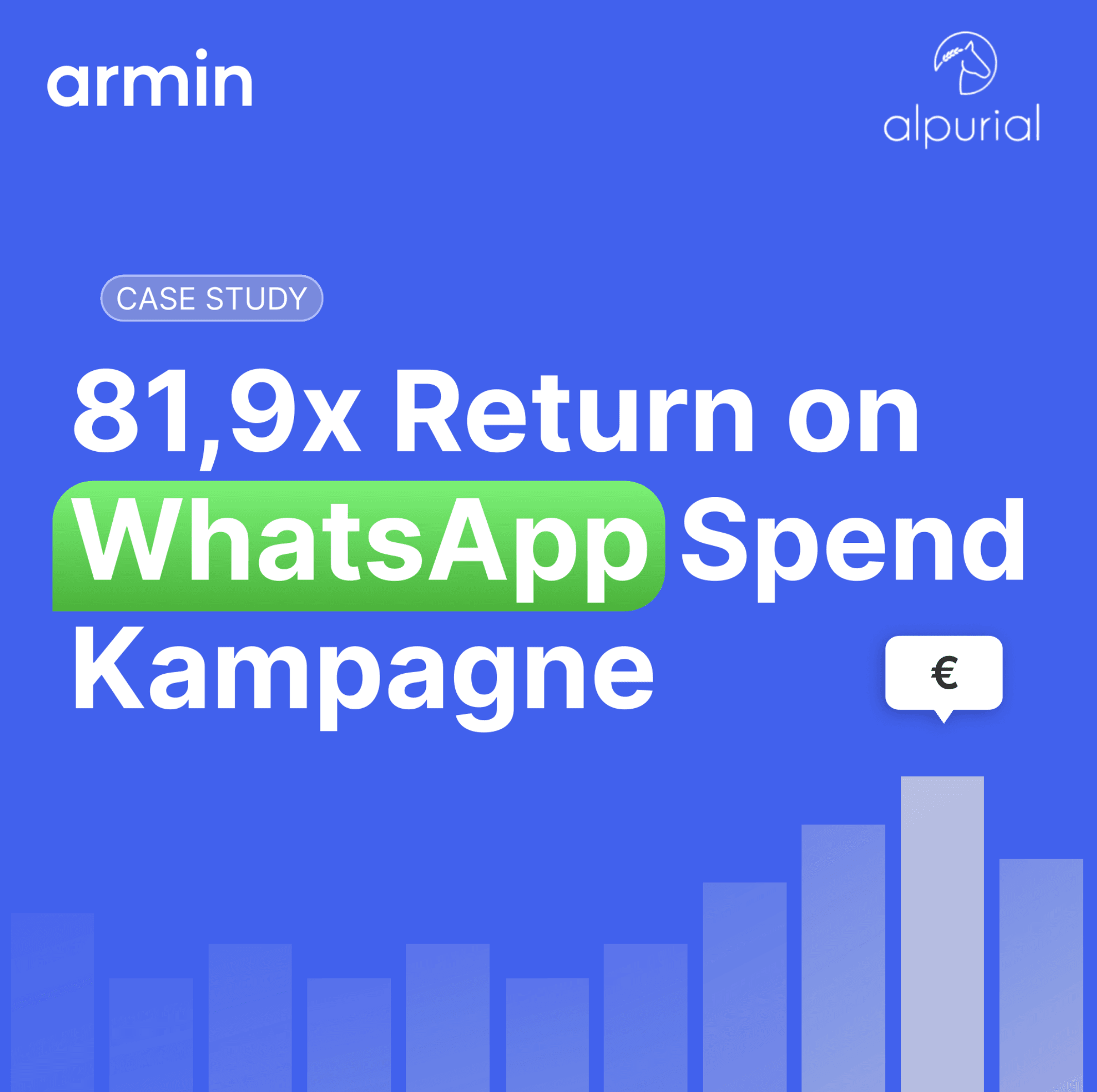 Case Study: How Alpurial Achieved an 81.9x Return on Ad Spend with One WhatsApp Campaign