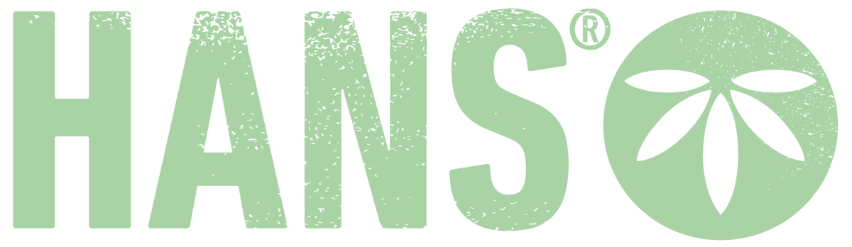 HANS Brainfood logo